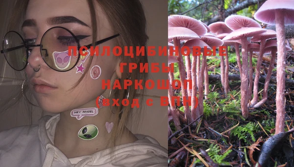гашик Покачи
