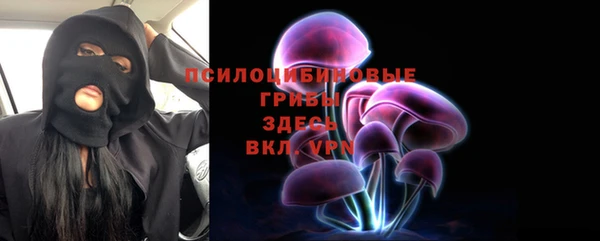 гашик Покачи
