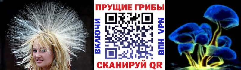 цена наркотик  Холм  Псилоцибиновые грибы мицелий 